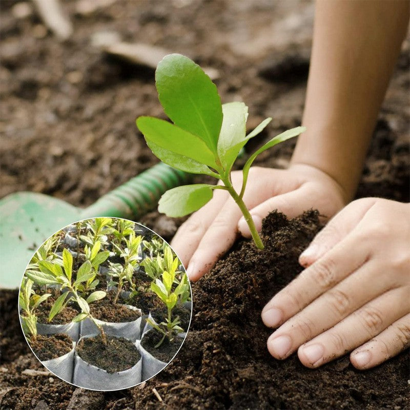 Breathable Plant Seedling Bags 14x16cm / Top: 8x12cm 100Pcs Non-Woven Fabric Growing Bags Breathable Plant Seedling Bags 14x16cm / Top: 8x12cm 100Pcs Non-Woven Fabric Growing Bags